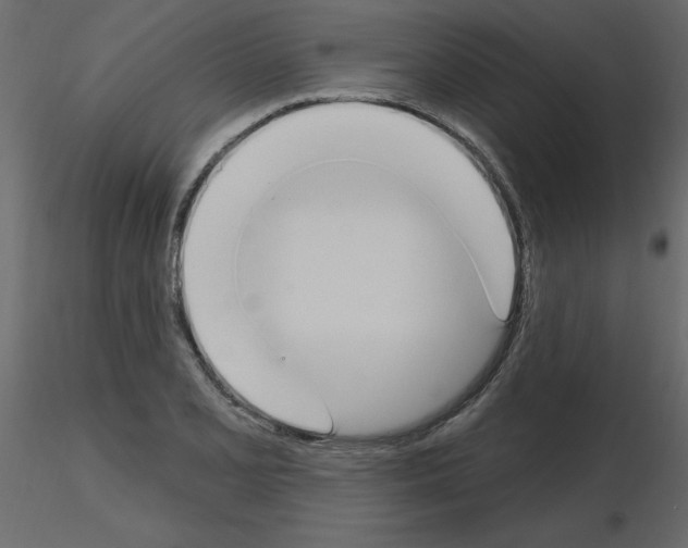 X0000115711077200912241539