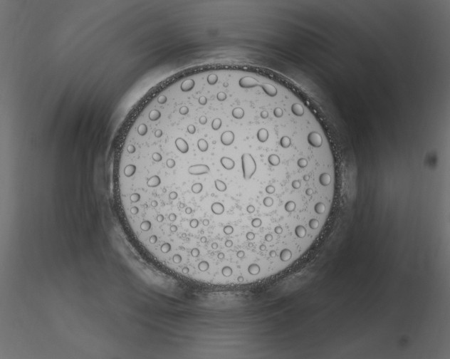 X0000115711078200912241539