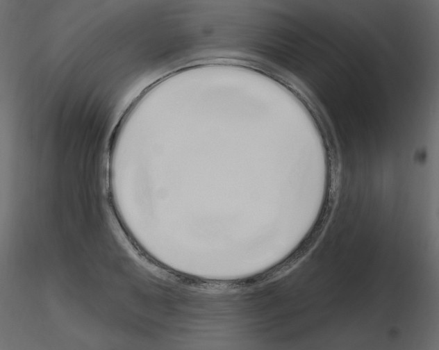 X0000115711079200912241539