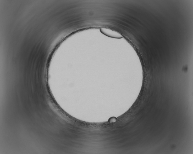 X0000115711080200912241539