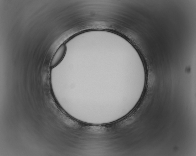 X0000115711081200912241539