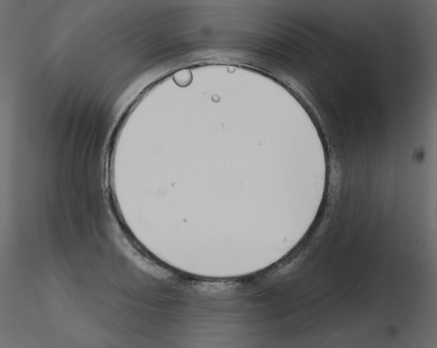 X0000115711082200912241539