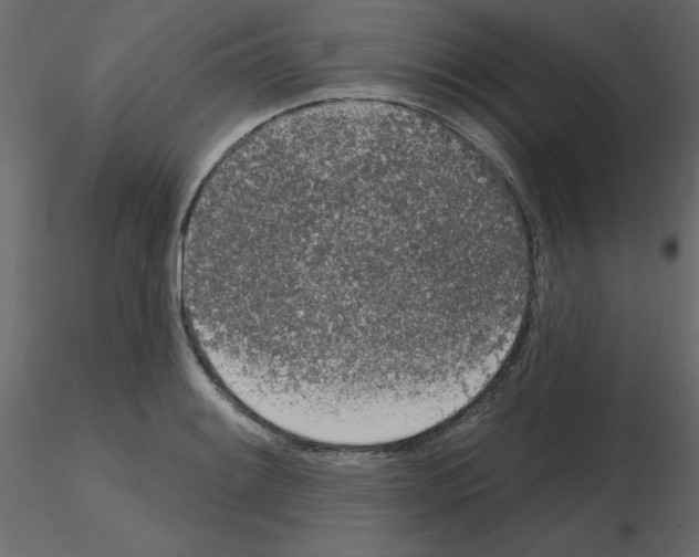 X0000115711084200912241539