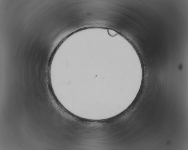 X0000115711085200912241539