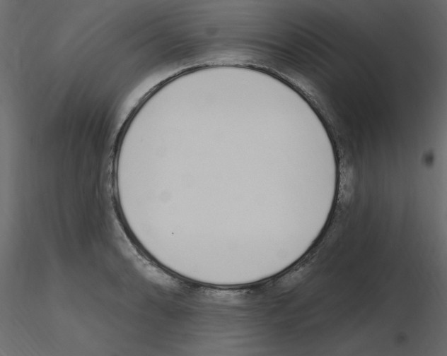 X0000115711086200912241539