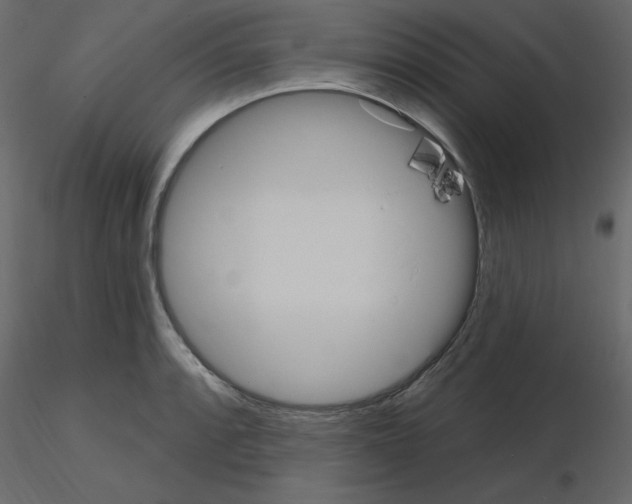 X0000115711088200912241539