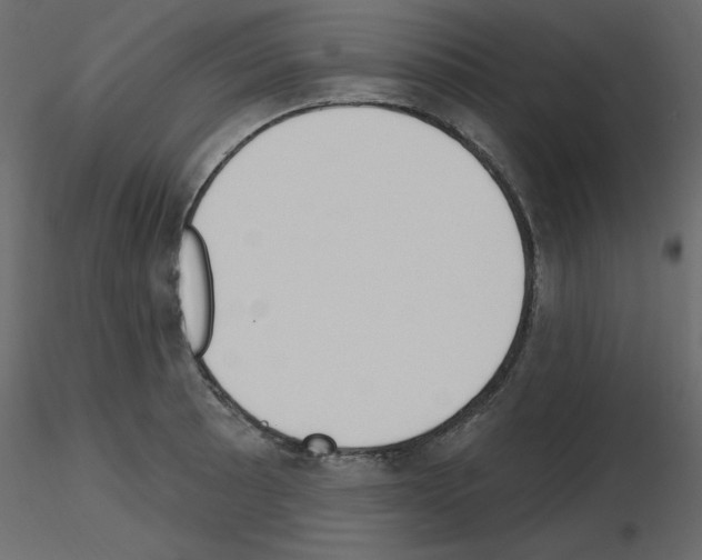 X0000115711089200912241539