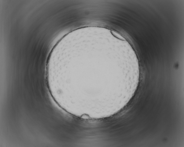 X0000115711095200912241538