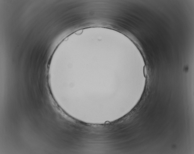 X0000115711096200912241538