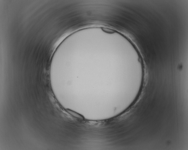 X0000115711097200912241538