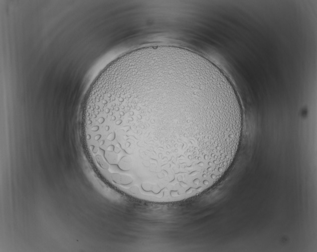 X0000115711098200912241538