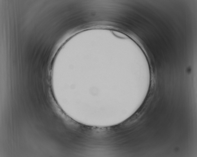 X0000115711099200912241538