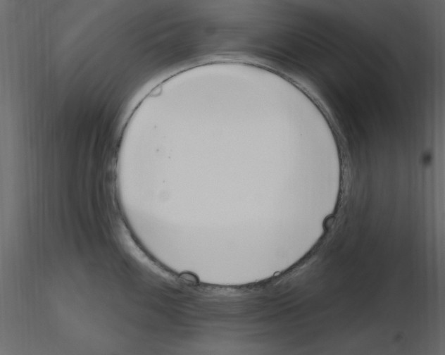 X0000115711100200912241538