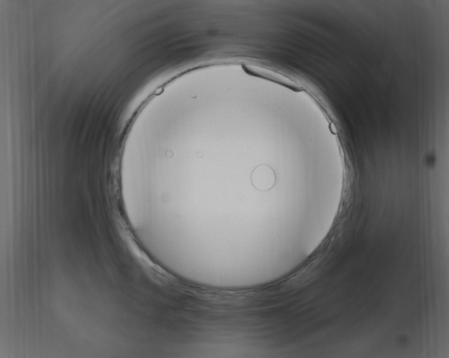 X0000115711101200912241538