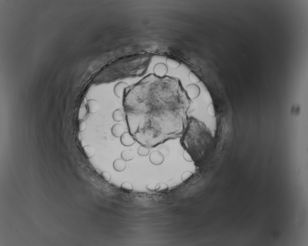 X0000115711105200912241538