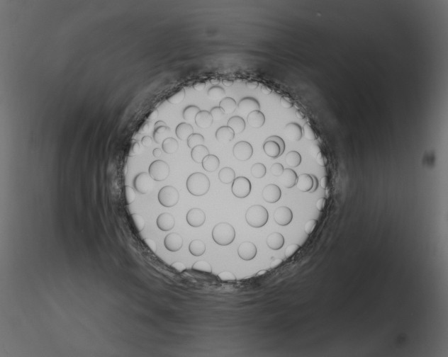 X0000115711106200912241538