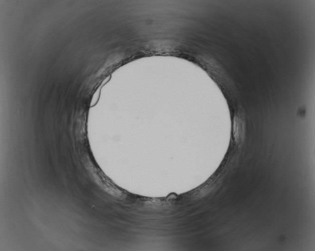 X0000115711107200912241538