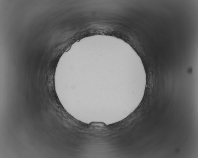 X0000115711109200912241538