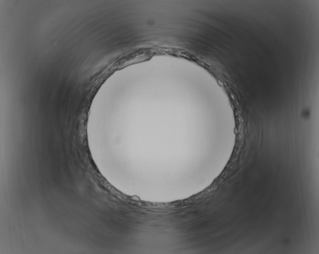 X0000115711110200912241538