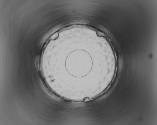 X0000115711113200912241538