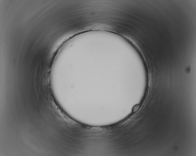 X0000115711115200912241538