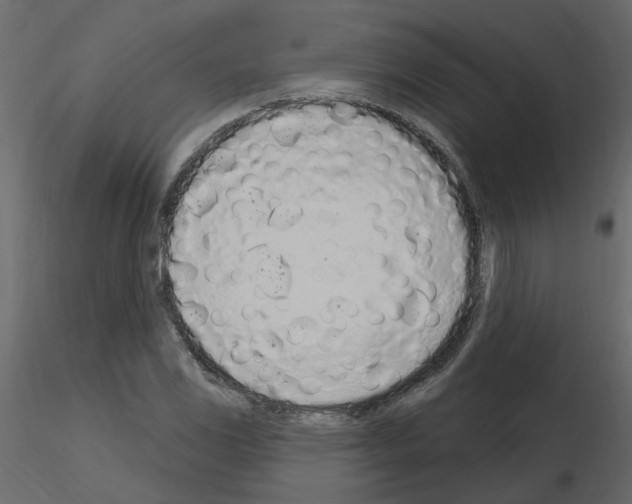 X0000115711117200912241538