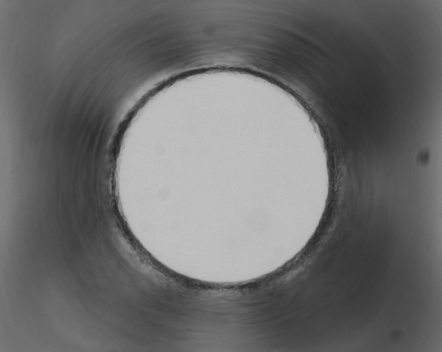 X0000115711118200912241538