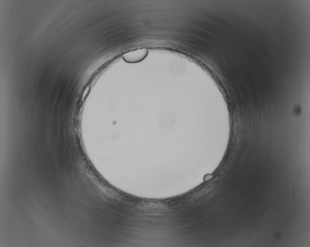 X0000115711119200912241538