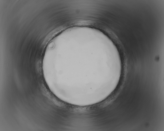 X0000115711121200912241538