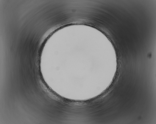 X0000115711122200912241538