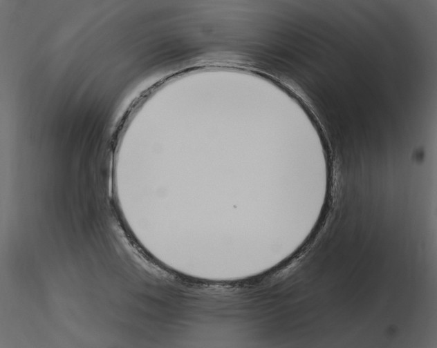 X0000115711123200912241538