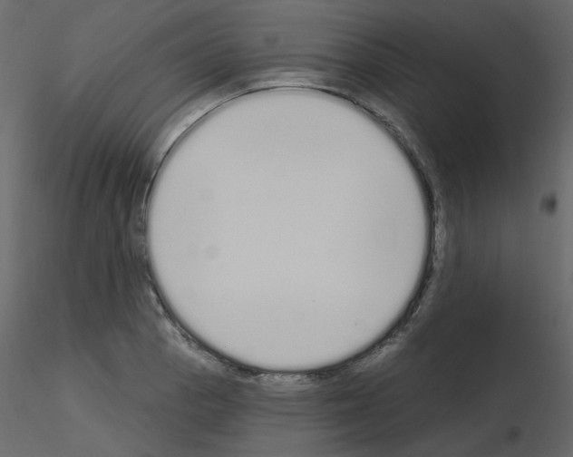 X0000115711129200912241538