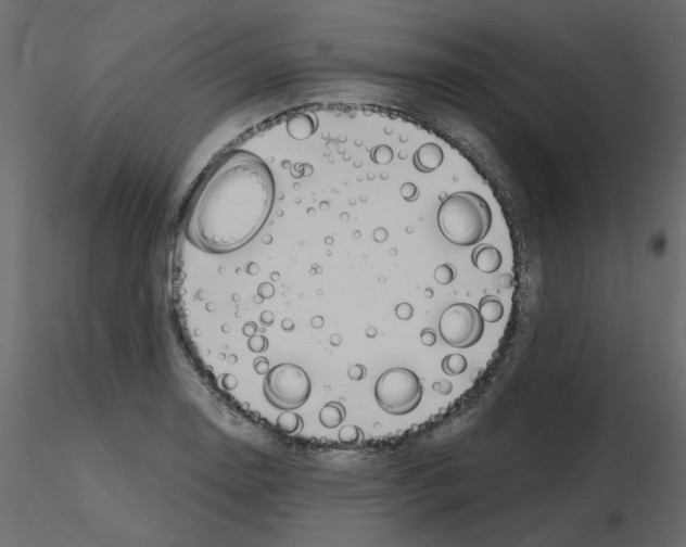 X0000115711130200912241538