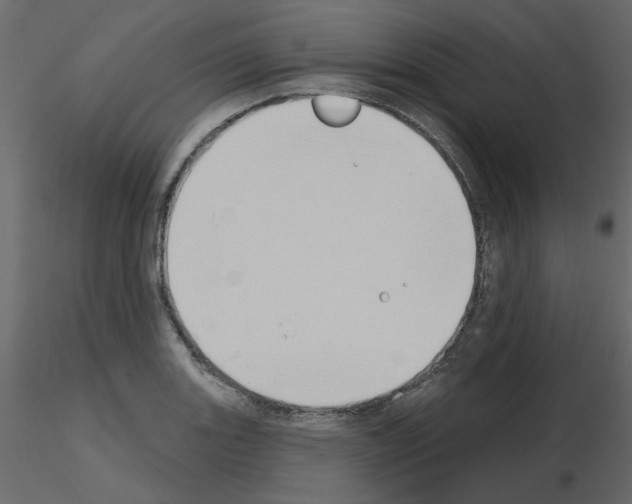 X0000115711131200912241538