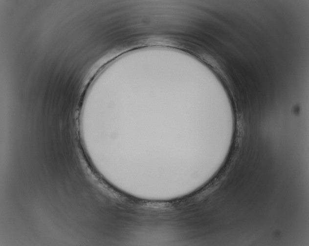 X0000115711133200912241538