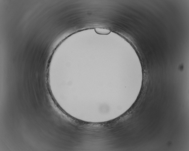 X0000115711135200912241538