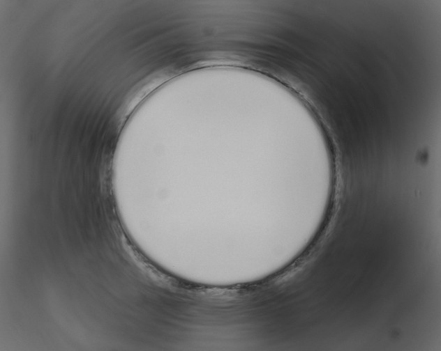 X0000115711137200912241538