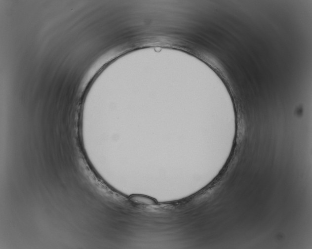 X0000115711138200912241538