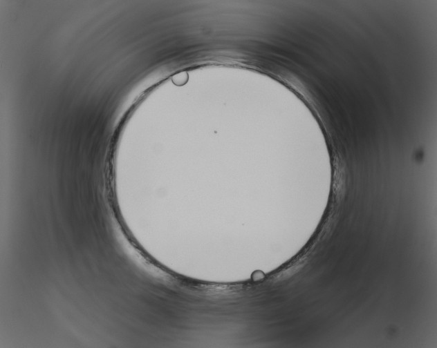 X0000115711139200912241538