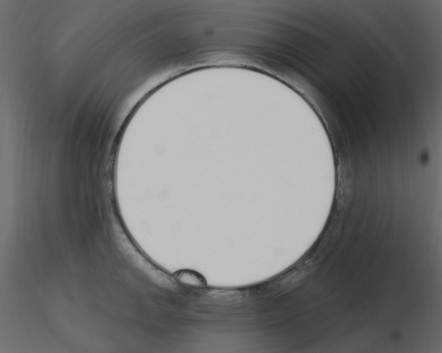 X0000115711142200912241538