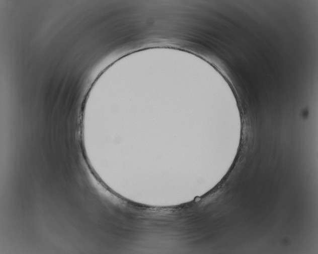 X0000115711143200912241538