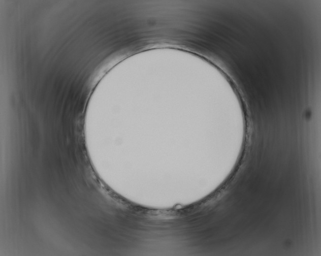 X0000115711145200912241538