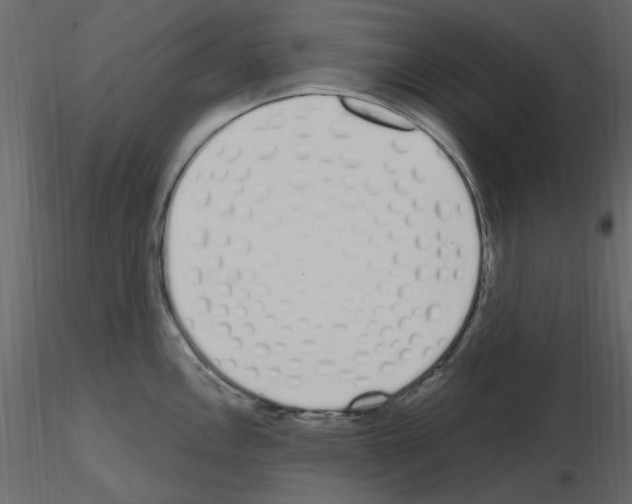 X0000115711146200912241538