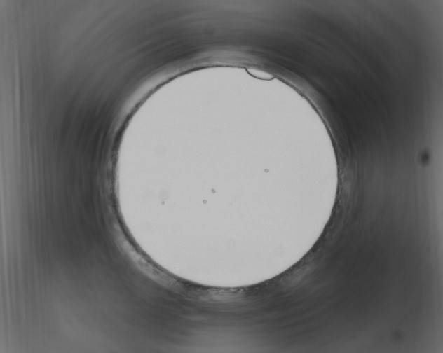 X0000115711147200912241538