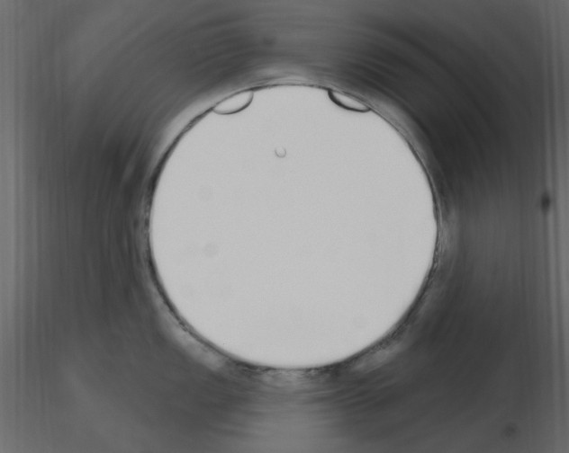 X0000115711149200912241538