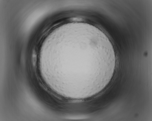 X0000115711151200912241538