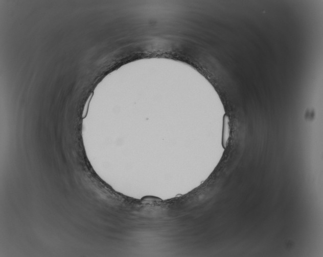 X0000115711153200912241538