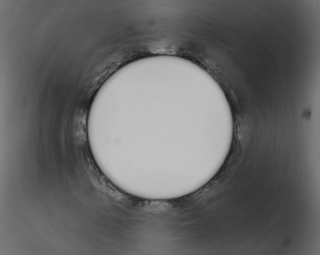 X0000115711154200912241538