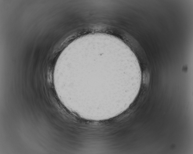 X0000115711155200912241538