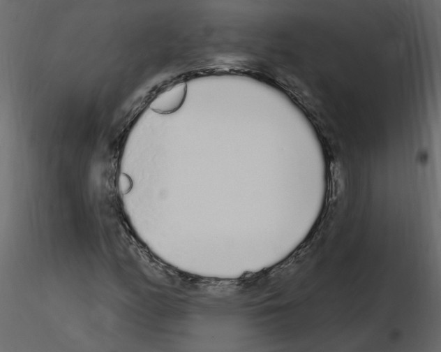 X0000115711158200912241538